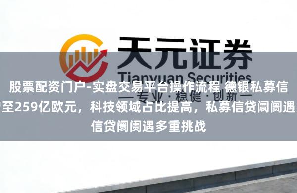 股票配资门户-实盘交易平台操作流程 德银私募信贷敞口增至259亿欧元,科技领域占比提高,私募信贷阛阓遇多重挑战