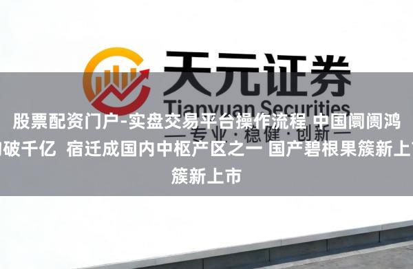 股票配资门户-实盘交易平台操作流程 中国阛阓鸿沟破千亿  宿迁成国内中枢产区之一 国产碧根果簇新上市